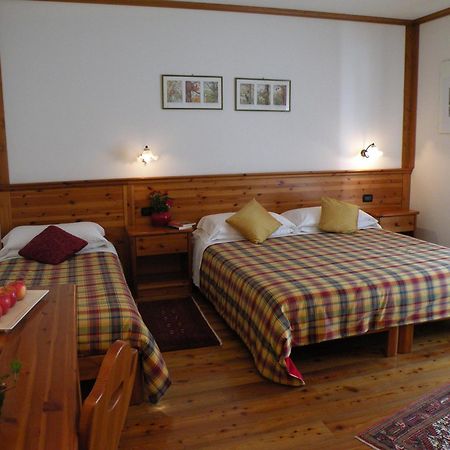 Hotel Garni Civetta 塞尔瓦迪卡多雷 外观 照片