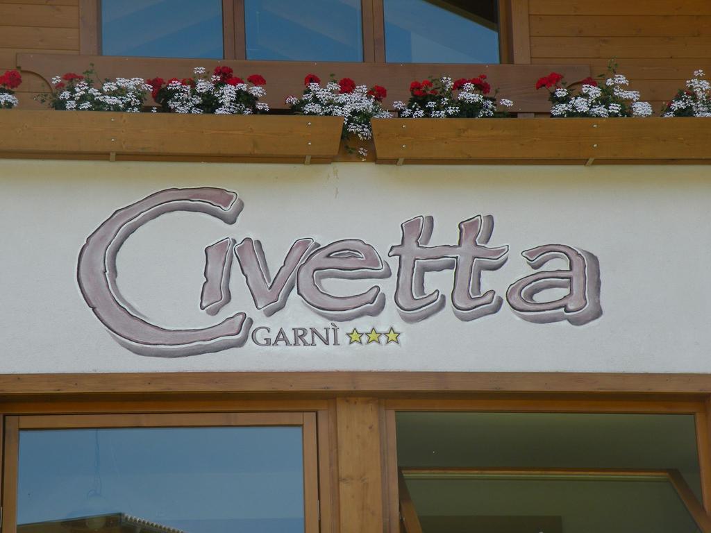 Hotel Garni Civetta 塞尔瓦迪卡多雷 外观 照片