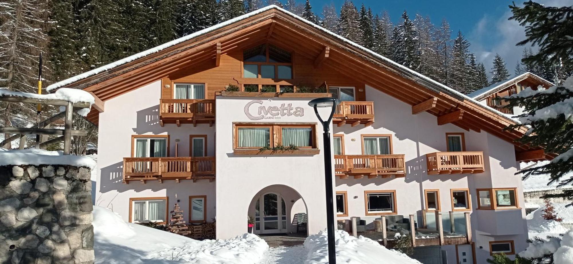 Hotel Garni Civetta 塞尔瓦迪卡多雷 外观 照片