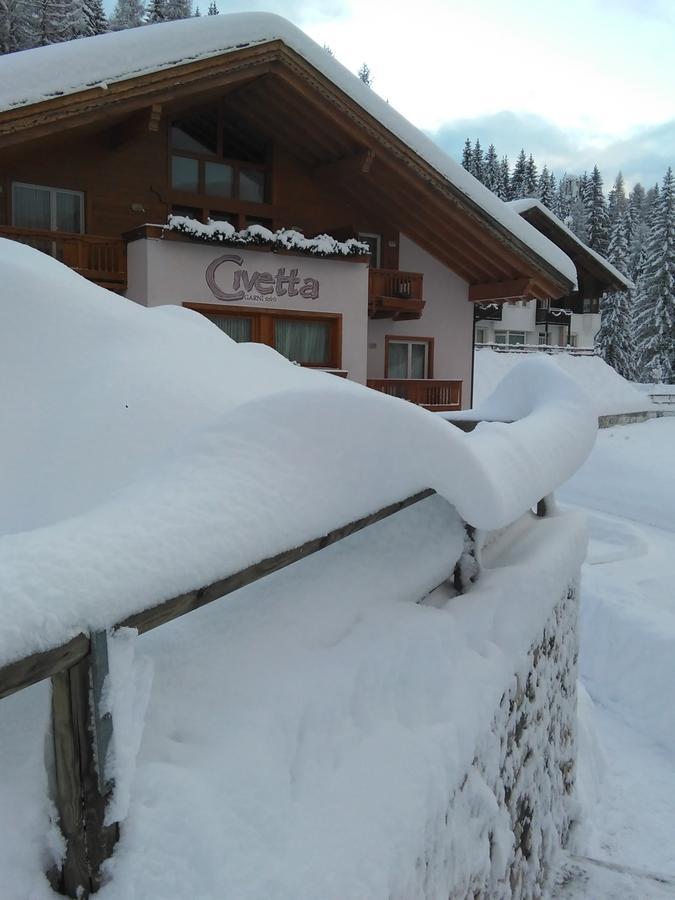 Hotel Garni Civetta 塞尔瓦迪卡多雷 外观 照片